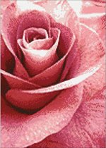 Wizardi Diamond Painting Kit Pink Rose WD019