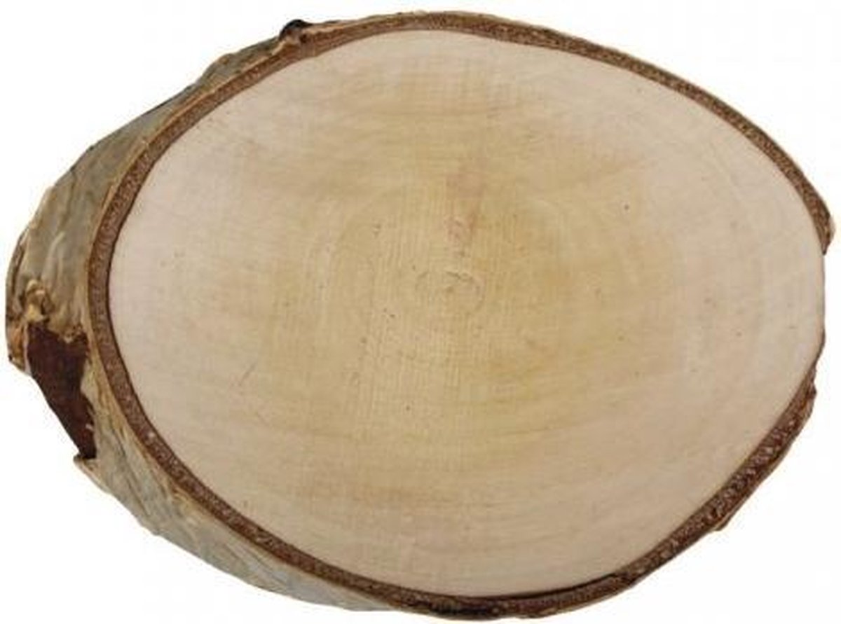 1x houten schijf boomstam/berken Ø 13 tot 17 cm - 2 cm dik bol.com