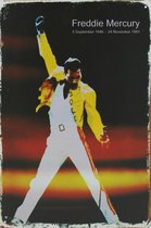 Wandbord - Freddie Mercury 1946-1991 Queen -20x30cm