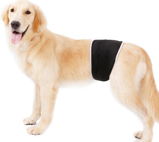 Bol Com Honden Buikband Luier Voor Mannelijke Hond Reu Plasband Wasbaar Medium Black