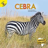 Animales africanos (African Animals) - Cebra