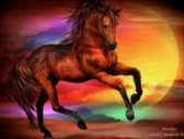 Diamond Painting Volwassenen - Paard Multicolor - 40 x 50 cm (Volledige Bedekking) - Inclusief Premium Tools