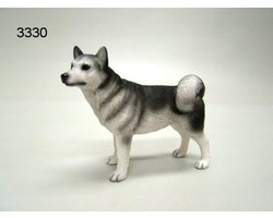 Beeld hond Husky