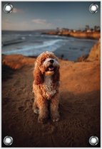 Tuinposter –Hond op Strand– 40x60cm Foto op Tuinposter (wanddecoratie voor buiten en binnen)