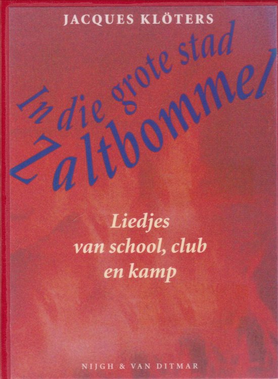 In die grote stad zaltbommel (pocket) - cover