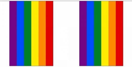 3BMT regenboog vlaggetjes LGTB - regenboog vlaggenlijn - 6 meter - polyester - 3 BMT