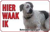 Bord Hond Friese Stabij