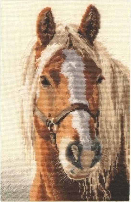 Haflinger paard borduren (pakket) | bol.com