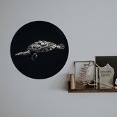 Schilderij Fotokunst Rond - Turtle | 50 x 50 cm | PosterGuru