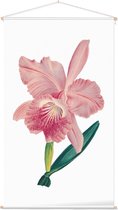 Orchidee Aquarel 3 (Orchid) - Foto op Textielposter - 60 x 90 cm