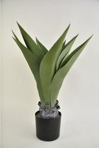 Kunstbloemen En Overige - Agave Parryi In Pot Large Grey 56x56x68cm