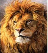 JDBOS ® Diamond Painting volwassenen pakket volledig - Leeuw - Dieren - 35 x 25 cm