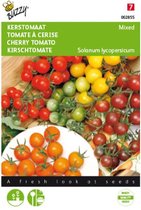 Buzzy - Mix de tomates cerises 4 variétés
