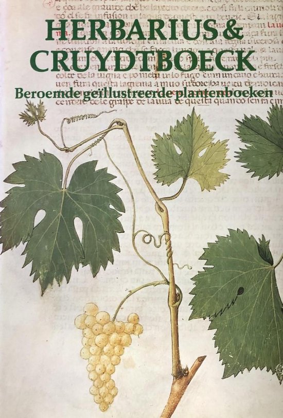 9789060171264 - Herbarius & Cruydtboeck