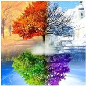 JDBOS ® Diamond Painting - 4 seizoenen boom - natuur - zomer - herfst - winter - lente - 25 x 35 cm