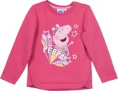 Leuke trui / Sweater van Peppa Pig maat 98