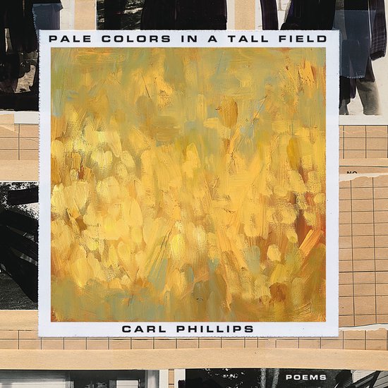 Pale Colors in a Tall Field - cover