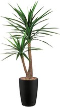 HTT - Kunstplant Yucca in Genesis rond antraciet H150 cm