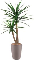 HTT - Kunstplant Yucca in Genesis rond taupe H150 cm