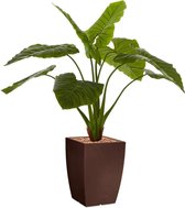 HTT - Kunstplant Philodendron in Genesis vierkant bruin H140 cm