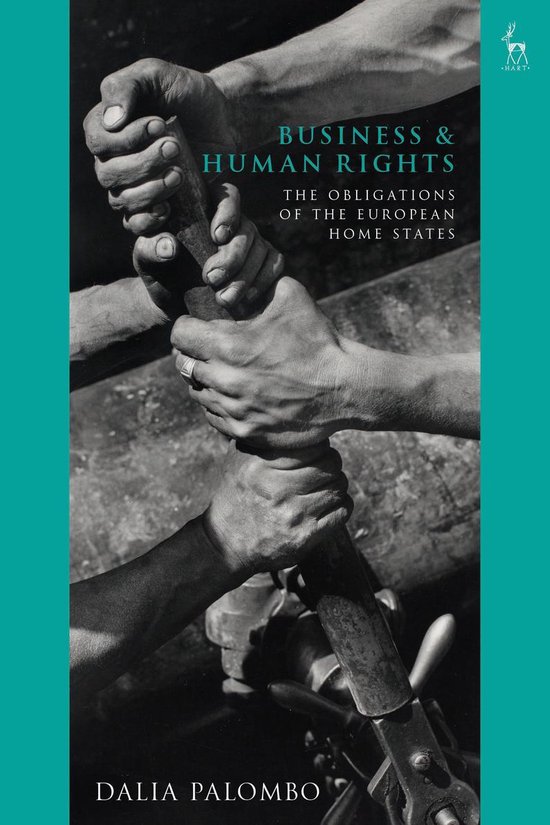 Business and Human Rights - cover