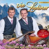 Alpenrosen Aus Den Dolomiten