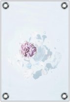 Tuinposter –Bloem met Witte Achtegrond– 80x120cm Foto op Tuinposter (wanddecoratie voor buiten en binnen)