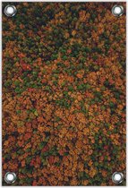 Tuinposter –Groot Bos van Bovenaf– 80x120cm Foto op Tuinposter (wanddecoratie voor buiten en binnen)