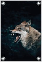 Tuinposter –Grote Boze Wolf in het Wild– 100x150cm Foto op Tuinposter (wanddecoratie voor buiten en binnen)