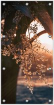 Tuinposter –Nachtvorst Takje– 100x200cm Foto op Tuinposter (wanddecoratie voor buiten en binnen)