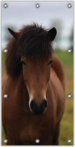 Tuinposter –Bruin Paard– 100x200cm Foto op Tuinposter (wanddecoratie voor buiten en binnen)