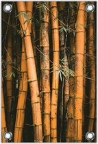 Tuinposter –Bamboe– 80x120cm Foto op Tuinposter (wanddecoratie voor buiten en binnen)