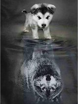 Diamond Painting Spiegelbeeld - 40 x 50 cm - Wolf