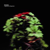 Pentadox - Fragments Of Expansion (CD)