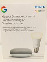 Google Nest Mini + Philips Hue White Ambiance Bluetooth lamp - E27
