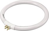 TL-lamp G10q 12 W N/A Ring (Ø x h) 138 mm x 13 mm Energielabel: A (A++ - E) 1 stuk(s)