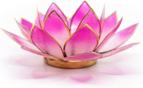 Lotus Sfeerlicht 2-Kleurig Roze - Wit Goudrand