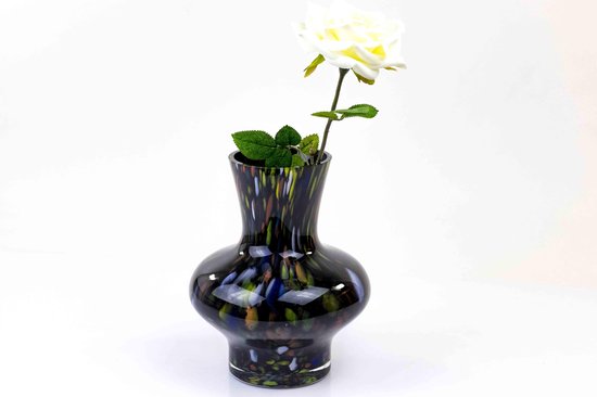 Vaas van Glas zwart - Vaas - Glazen vaas - Bloemen vaas - Vaas glas |  bol.com