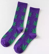 Wietsokken - Cannabissokken - Wiet - Cannabis - paars-groen - Unisex sokken - Maat 36-45