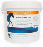 Floris Magnesium Citraat microfijn voor paarden 3kg