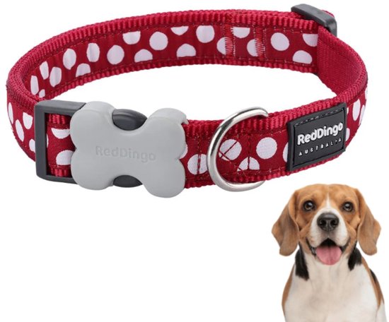 Red Dingo Halsband Hond 25mm x 41-64cm DC-S5-RE-25 | bol
