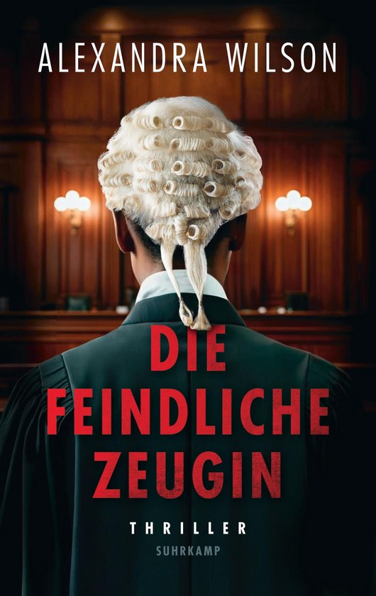 Die feindliche Zeugin - cover