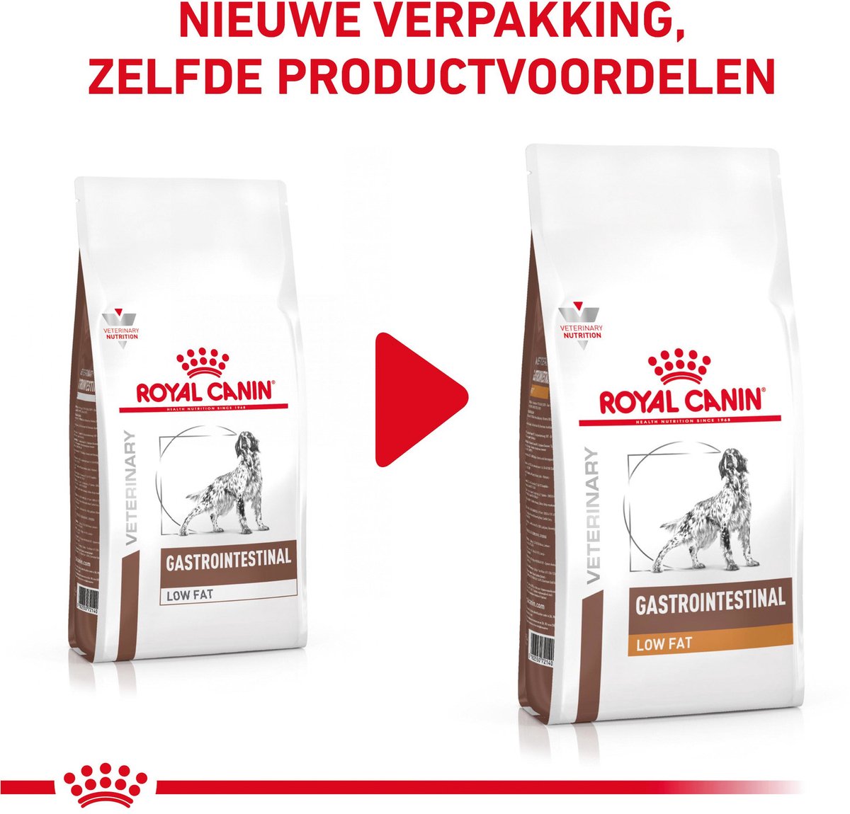 Royal Canin Veterinary Diet Gastro Intestinal Low Fat - 6 kg thumbnail 3