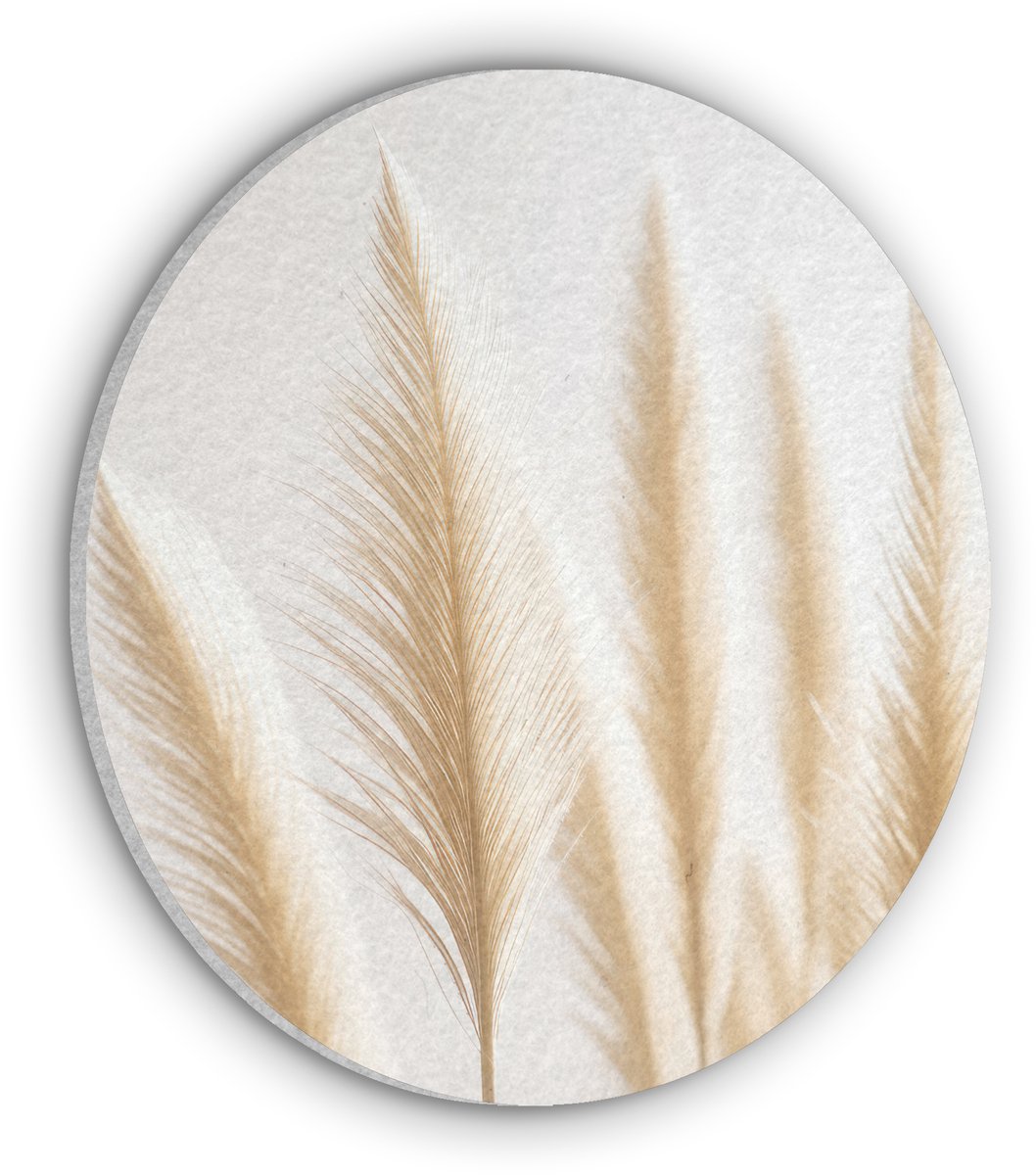 Akoestisch wandpaneel rond 30x30 cm - Vilt schilderij Pampas gras - Pluimen - Beige - Natuur - Ronde akoestische panelen - Geluidsdempende wanddecoratie - Geluidsisolatie wandcirkel - Muurdecoratie geluidspanelen