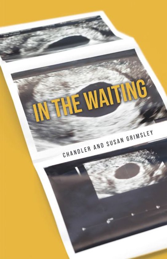 In The Waiting - cover