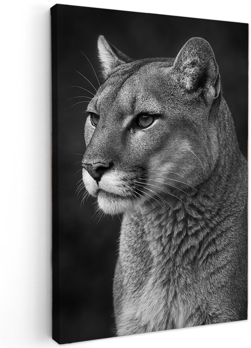 online schilderij Canvas schilderij - North American Predator - 90x60 cm - Abstracte kunst - Huis decoratie woonkamer - Luipaard muur schilderijen - Wanddecoratie accessoires - Kamer interieur natuur zwart