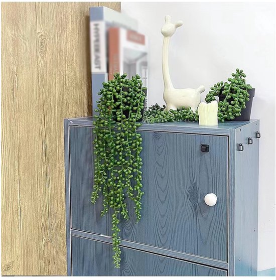 Plante verte retombante décorative à feuilles rondes sur une commode bleue.