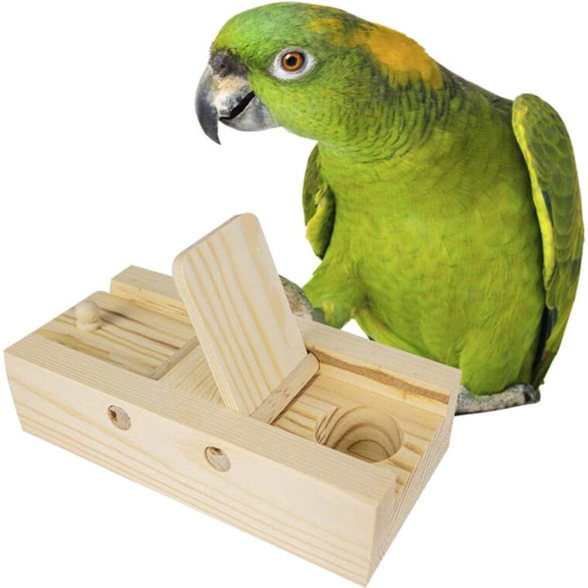 Back Zoo Nature Brain Trainer Flaps