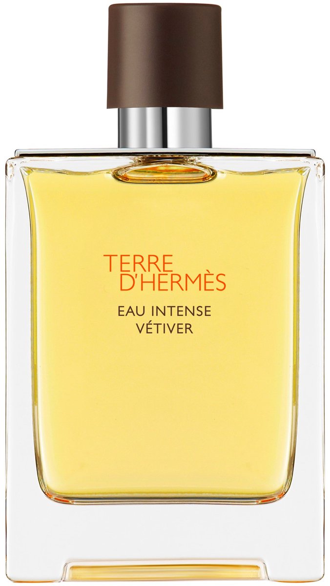 Hermes Terre d'Hermès Eau Intense Vétiver 100 ml - Eau de Parfum - Herenparfum