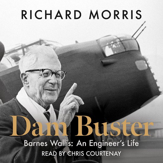 Dam Buster - cover